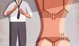 成人动漫视频在线观看,在线观看指南揭秘